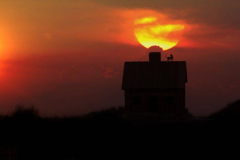 The Benefits of Renewable Energy in Home Improvement