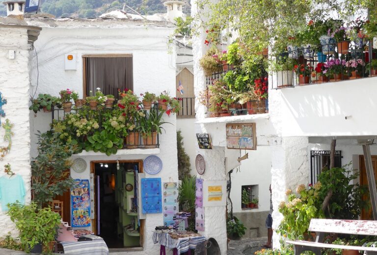 Analyzing the Rise of Eco-conscious Fashion Brands