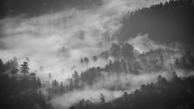 How To Sign In To 99Exch After Registration?